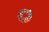 甘孜理塘回收红酒
